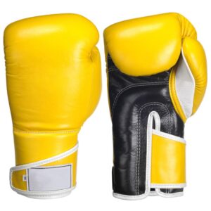 Academy Boxing Gloves
