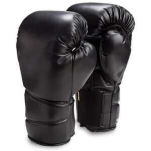 Pro Boxing Gloves