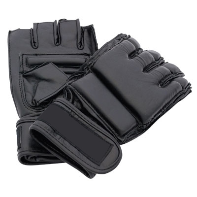 Elite Grapling Gloves Boxing Gear