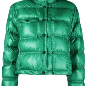 Softshell Jacket