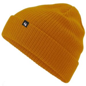 Pro Beanies Accessory