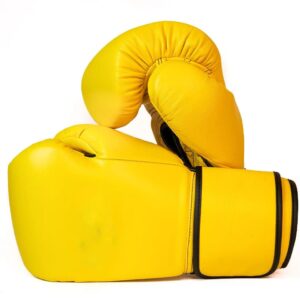 Title Boxing Gloves 02