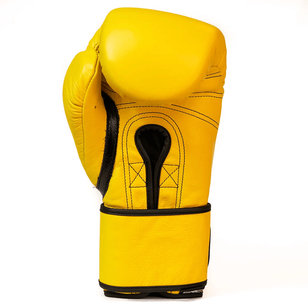 Title Boxing Gloves 02 - Image 2