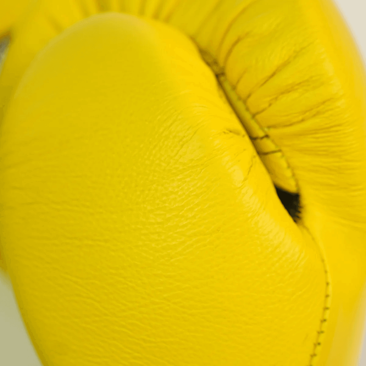 Title Boxing Gloves 02 - Image 3