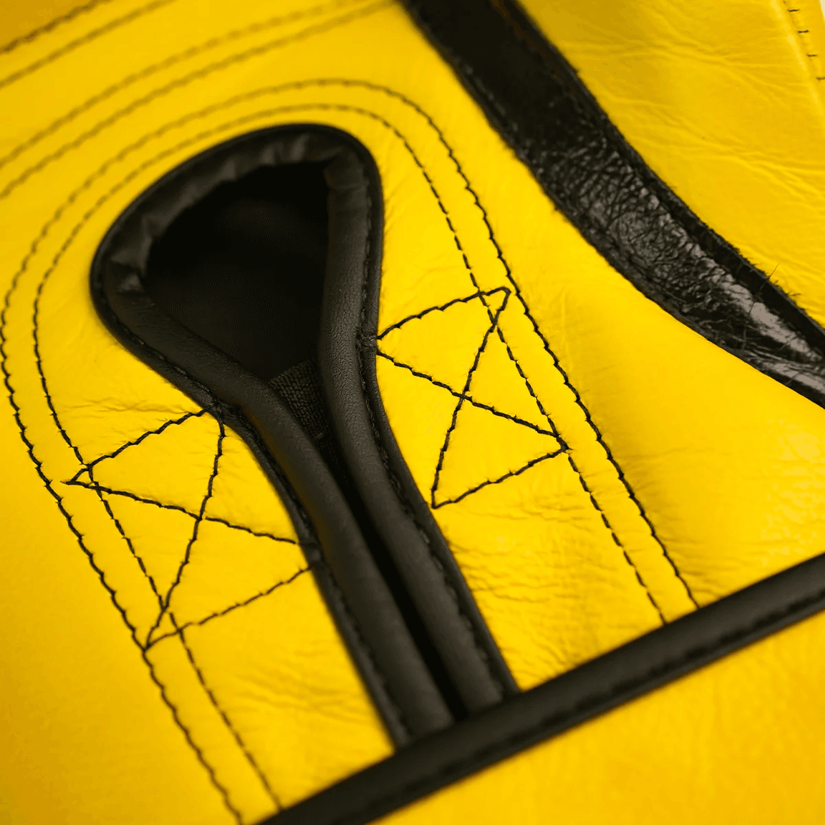 Title Boxing Gloves 02 - Image 5