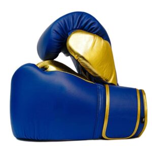 Combat Boxing Gloves 03