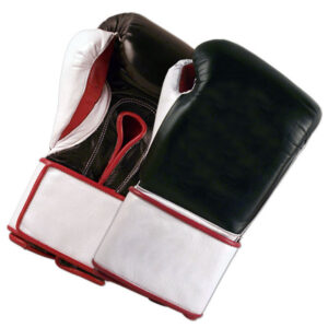 Elite Bag Mitts Boxing Gear
