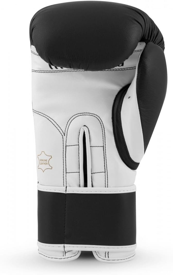 Academy Boxing Gloves 02 - Image 3