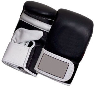 Academy Bag Mitts Boxing Gear