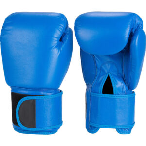 Elite Boxing Gloves 03