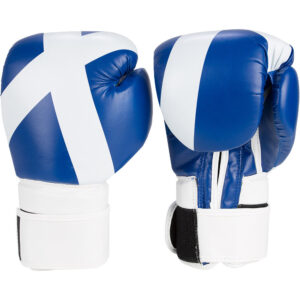 Academy Boxing Gloves 04