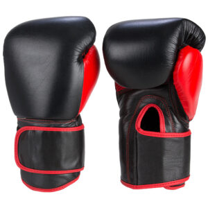 Pro Boxing Gloves 04